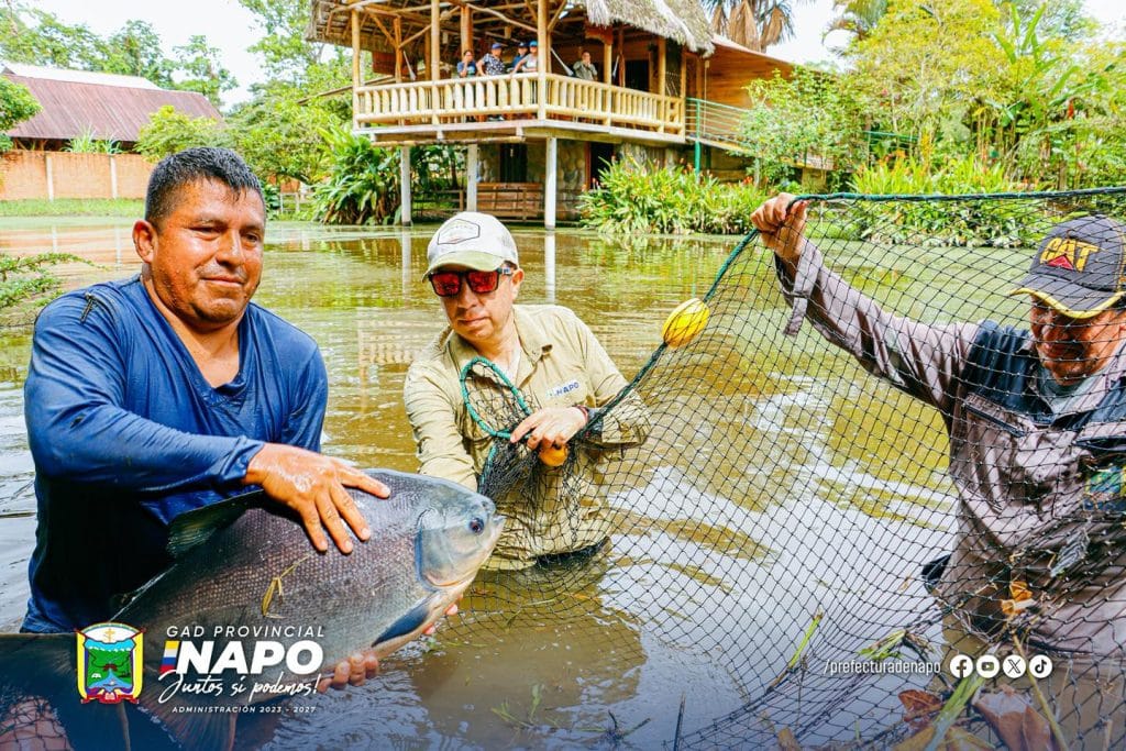 67 alianza para la reproducción de alevines de cachama en misahuallí (25 junio)
