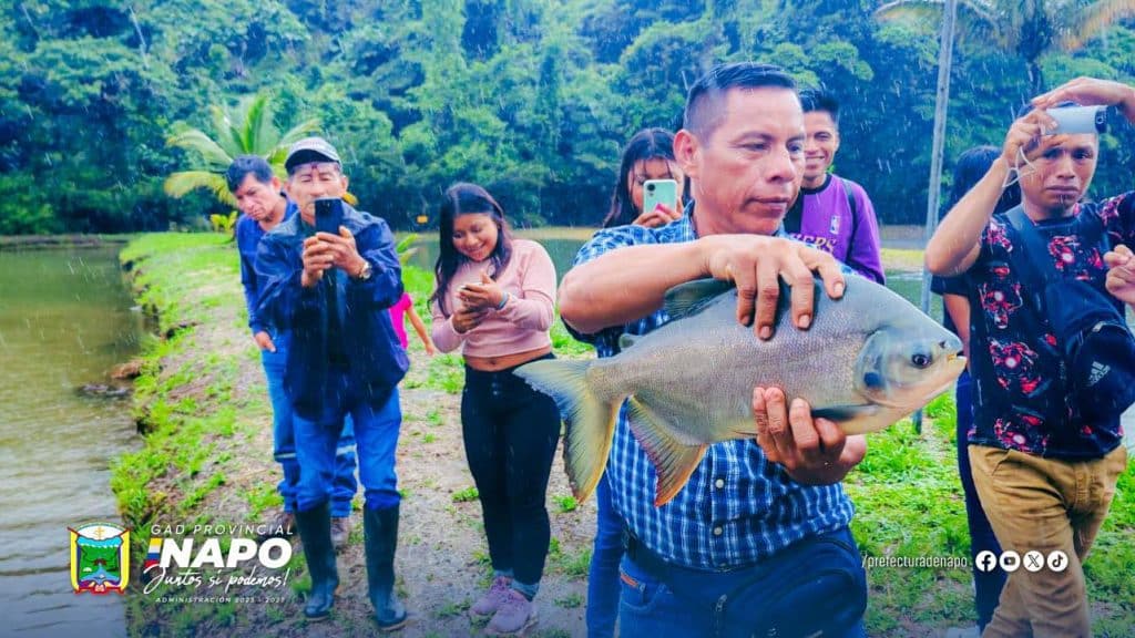 72 impulsamos el desarrollo productivo en nuestras comunidades (01 jilio)