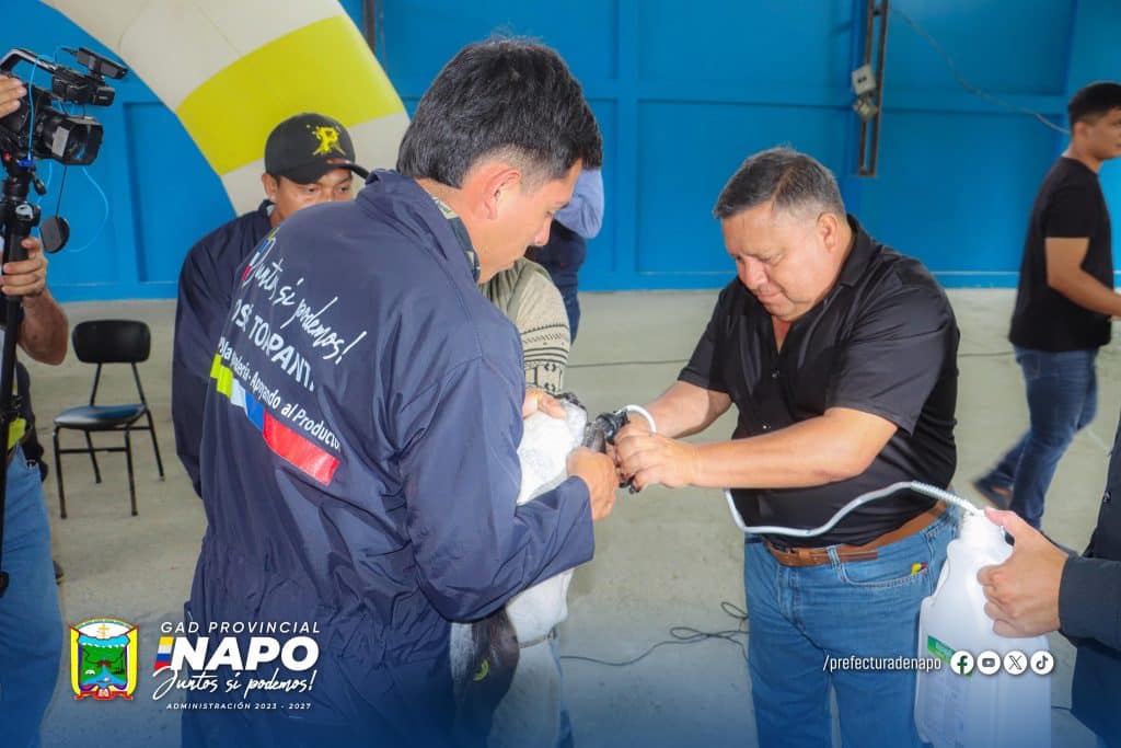 campaña de desparasitación y vitaminización bovina fortalece la ganadería en napo