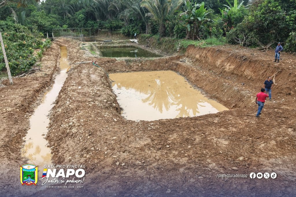 construcción de drenes y adecuación de piscina fortalecen emprendimiento en atahualpa, parroquia puerto napo