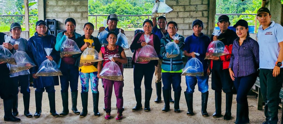 38 impulsamos la producción piscícola en napo (4 junio)