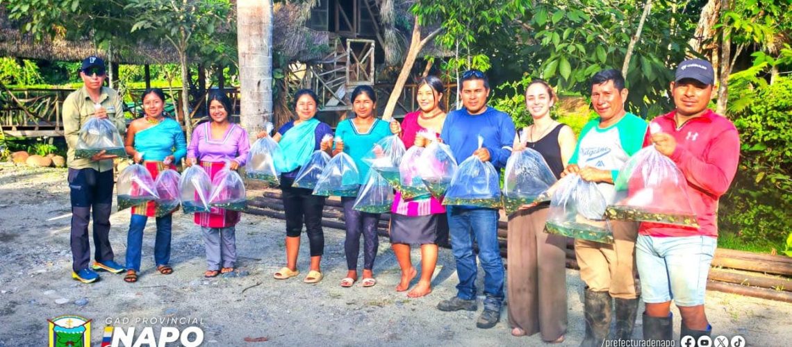 52 el desarrollo también se pesca en napo (13 junio)