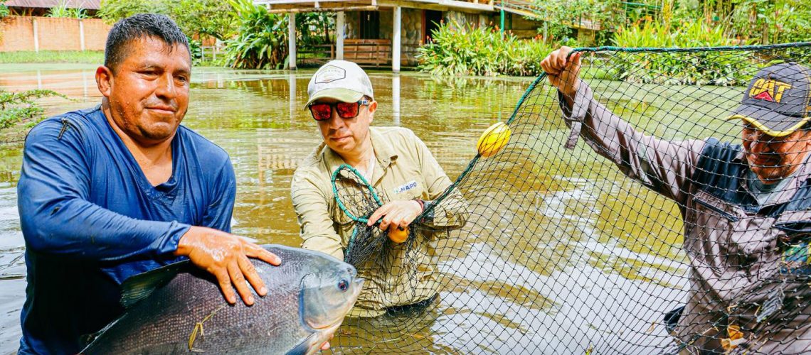 67 alianza para la reproducción de alevines de cachama en misahuallí (25 junio)