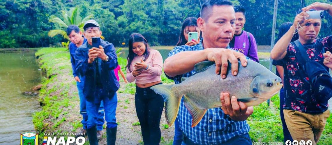 72 impulsamos el desarrollo productivo en nuestras comunidades (01 jilio)