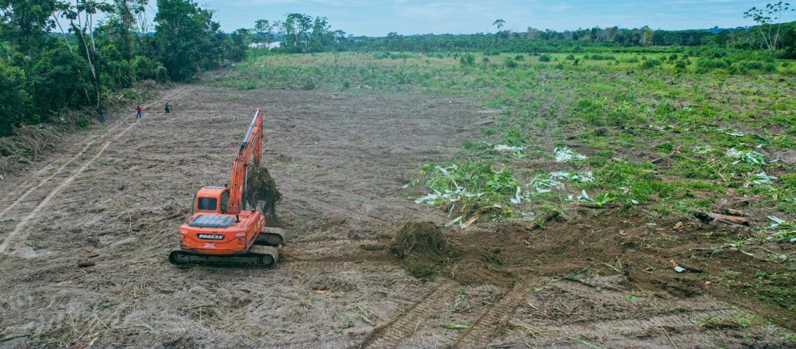 91 trabajamos junto a nuestros productores (15 julio)