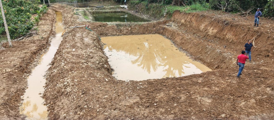 construcción de drenes y adecuación de piscina fortalecen emprendimiento en atahualpa, parroquia puerto napo