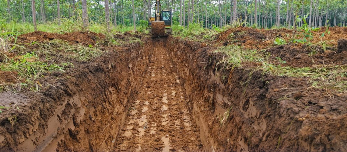 construcción de drenes y desbroce de terreno fortalecen la producción en sardina de misahuallí