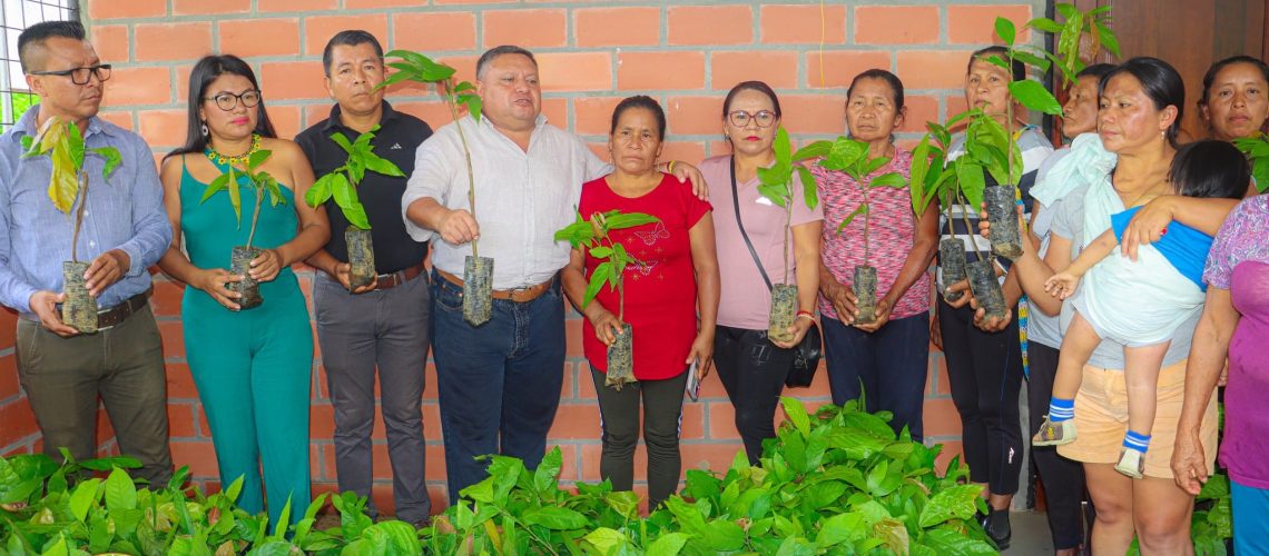 entrega de 4.752 plantas de cacao en la comunidad kichwa wasila – parroquia talag