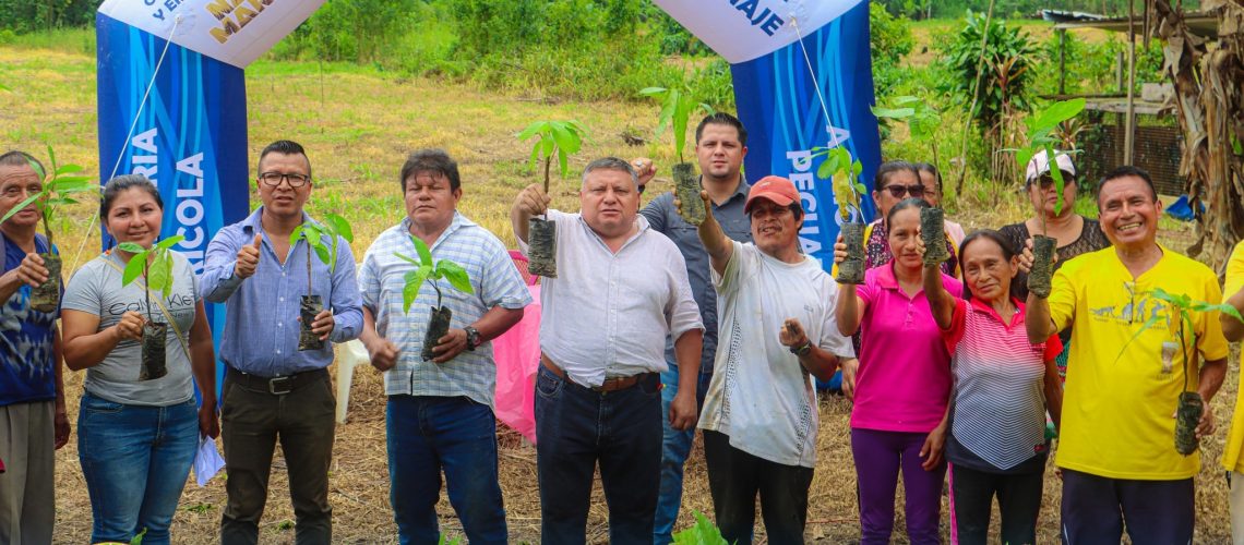 entrega de 5.148 plantas de cacao a la asociación urku runas – san vicente, parroquia talag