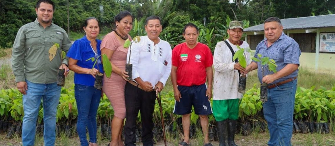 entrega de plantas de cacao a productores de san pablo de ushpayacu y mariposas – provincia de napo