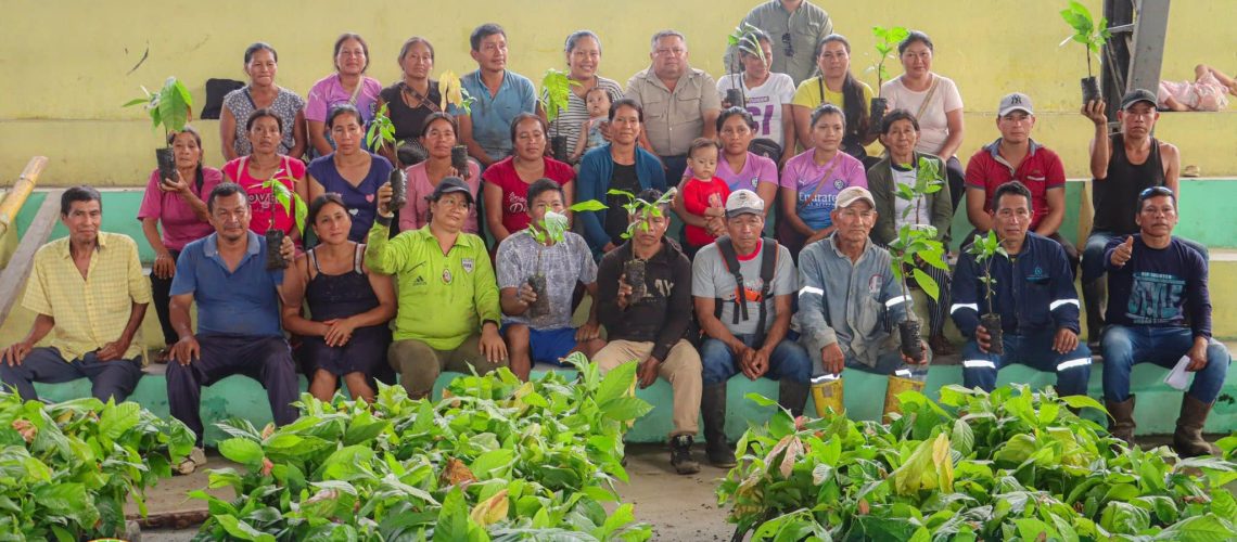 entrega de plantas de cacao fortalece la producción en la comunidad ñukanchi llacta, parroquia chontapunta