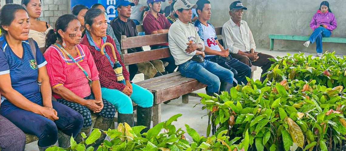 entrega de plantas yanayaku