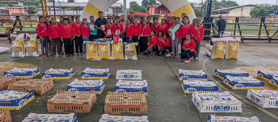entrega de proyecto avícola a la asociación mushuk yuyay – cotundo