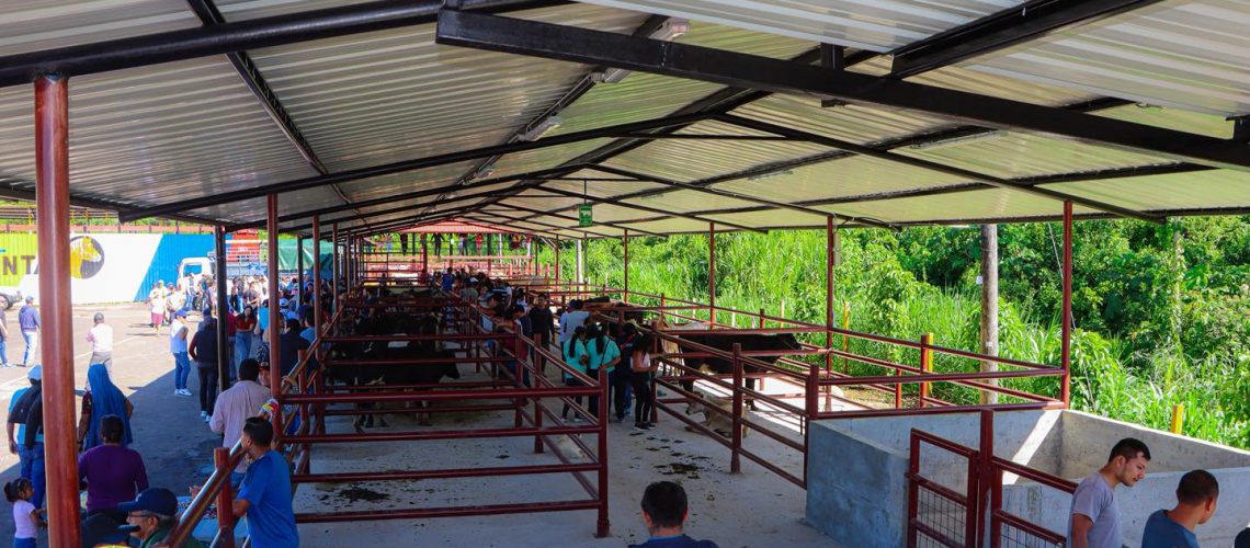 inauguración de la nueva etapa del recinto ferial “víctor elías toapanta”, cotundo