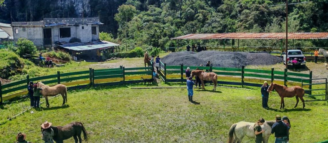 jornada veterinaria para equinos – comunidad de cuyuja