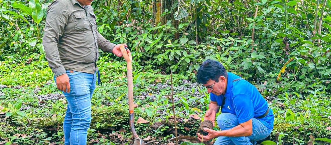 un día para el ambiente