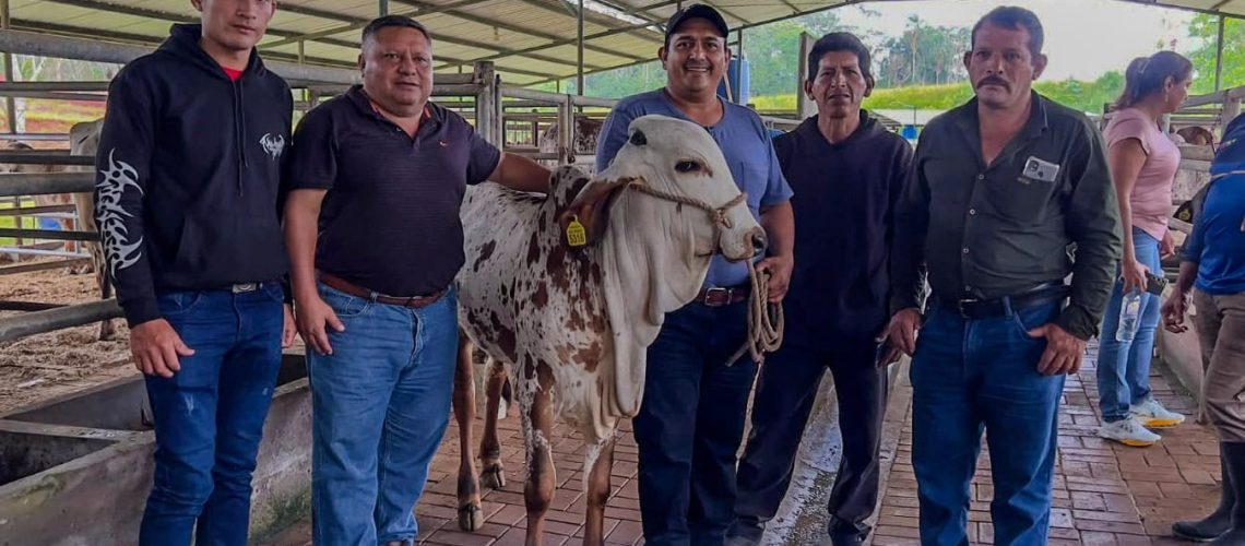 visita técnica para el fortalecimiento de la producción ganadera – provincia de sucumbíos