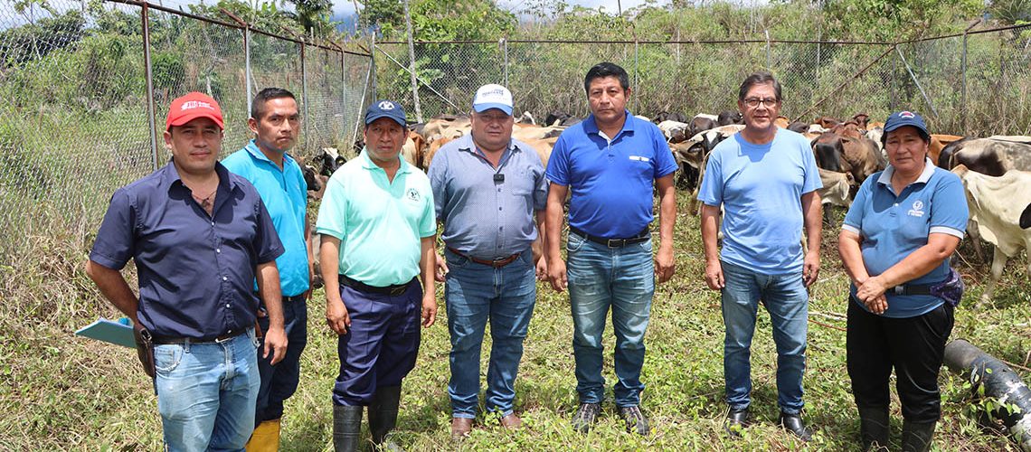 web proyecto de ganaderia en cotundo