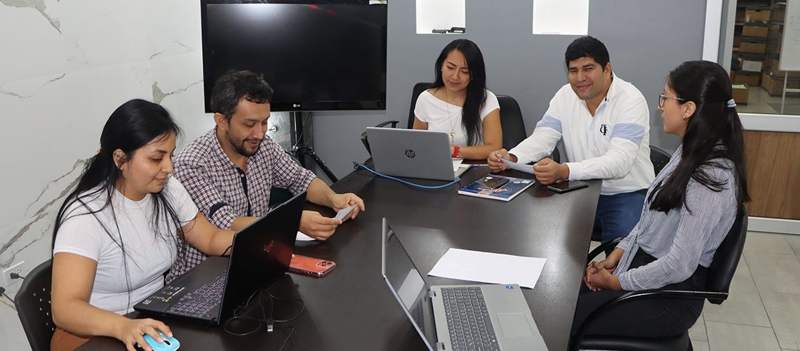 web reunión técnica sobre el seguimiento y revisión técnica de proyecto de infraestructura vial