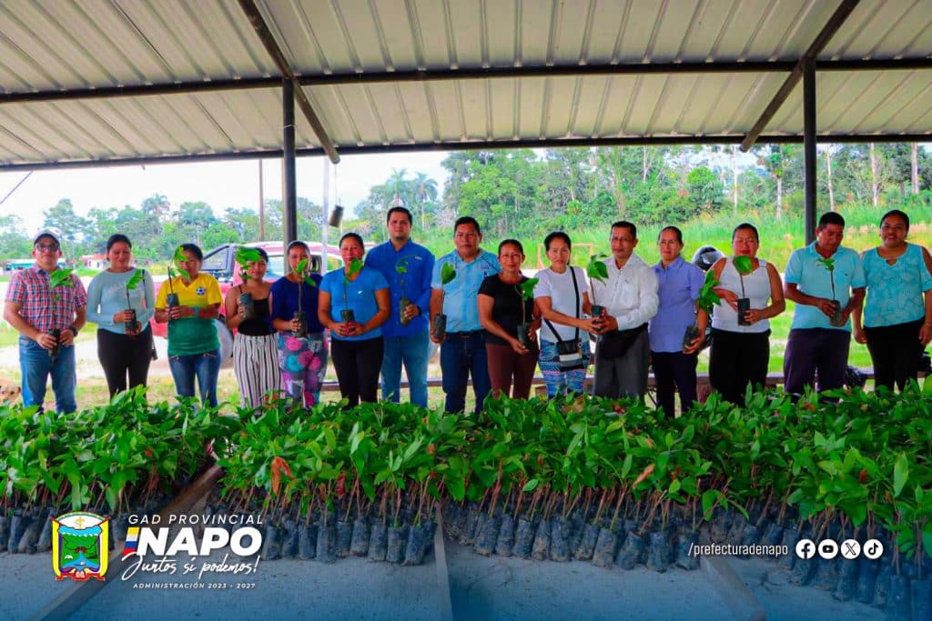 entrega de 1.768 plantas de cacao ccn51 en la comunidad kuri muyo – parroquia san pablo de ushpa yaku