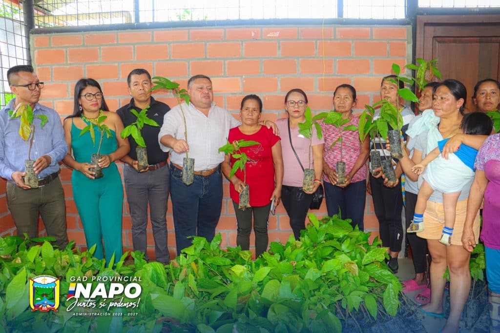entrega de 4.752 plantas de cacao en la comunidad kichwa wasila – parroquia talag