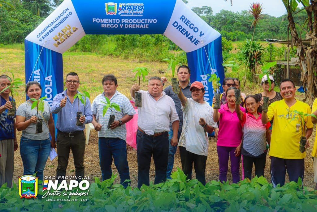 entrega de 5.148 plantas de cacao a la asociación urku runas – san vicente, parroquia talag