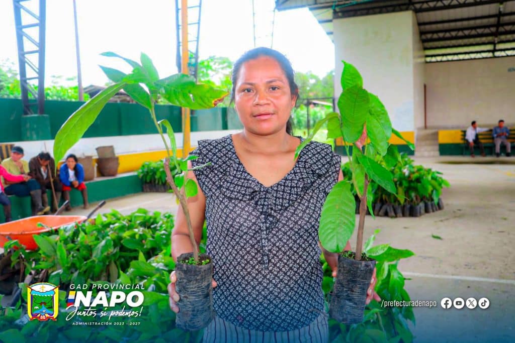 entrega de 5.304 plantas de cacao en la comunidad villano – parroquia san pablo