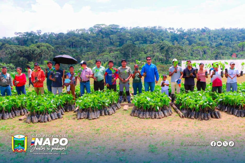 entrega de 5.756 plantas de cacao en la comunidad san clemente – provincia de napo
