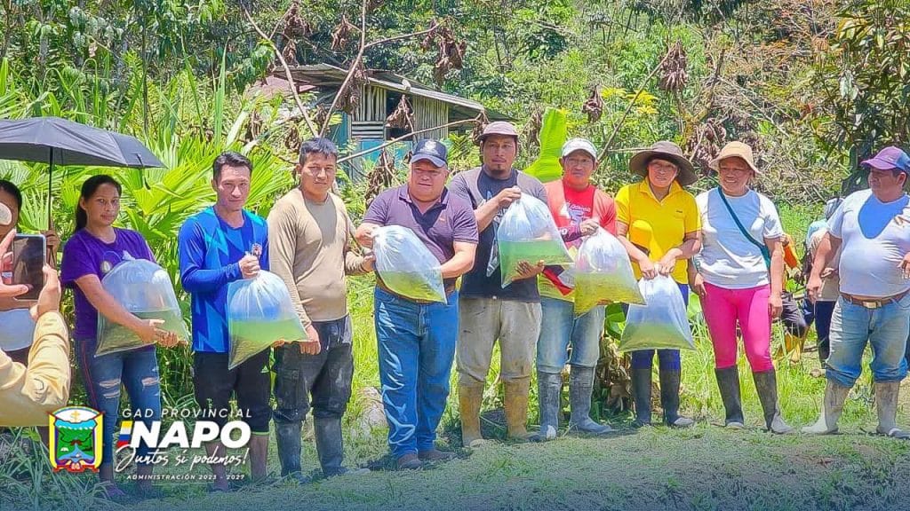 entrega de alevines impulsa la producción piscícola en usa yaku, parroquia cotundo