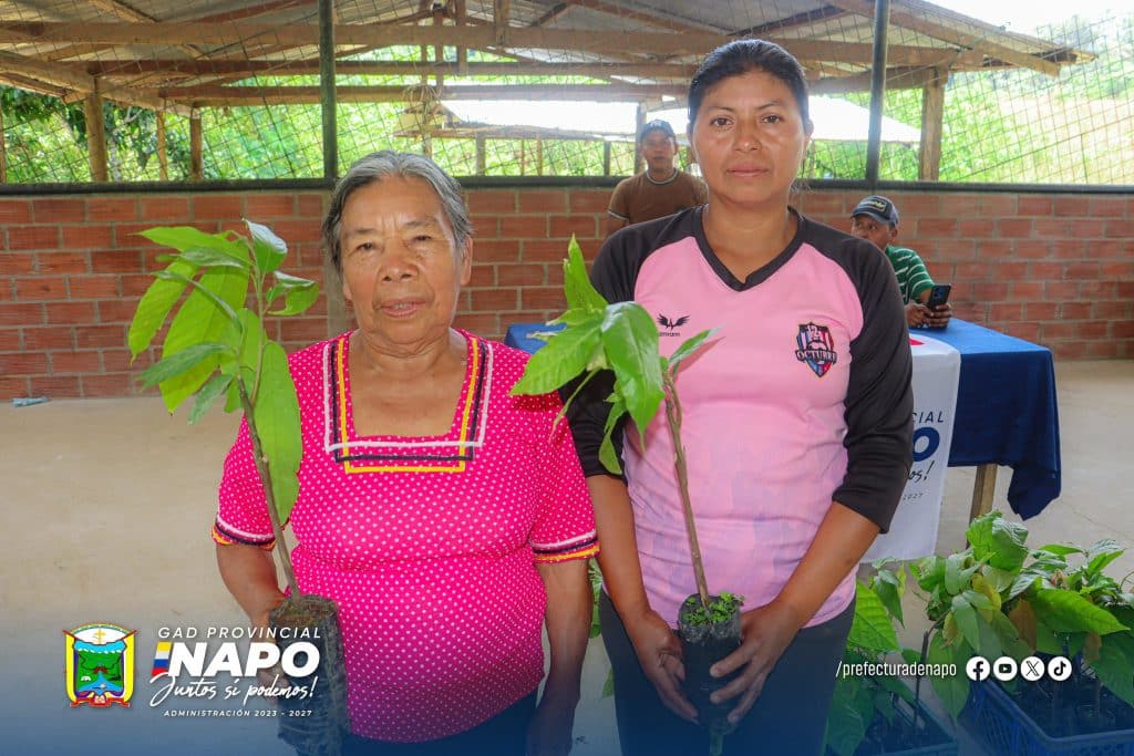 entrega de plantas de cacao fortalece la producción en la comunidad kichwa 12 de octubre yawar wawki, parroquia chonta punta