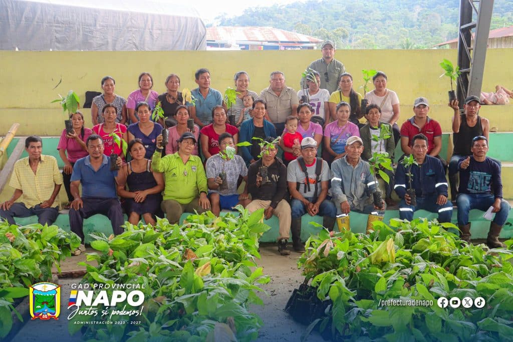 entrega de plantas de cacao fortalece la producción en la comunidad ñukanchi llacta, parroquia chontapunta