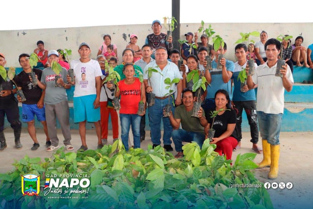 entrega de plantas de cacao fortalece la producción en la comunidad shiripuno, parroquia chonta punta