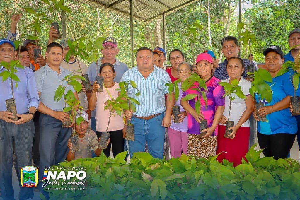 entrega de plantas de cacao fortalece la producción en la parroquia chonta punta