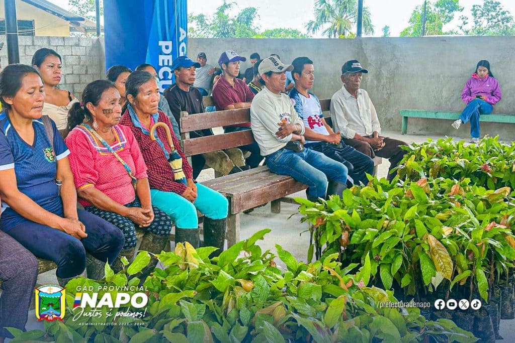 entrega de plantas yanayaku
