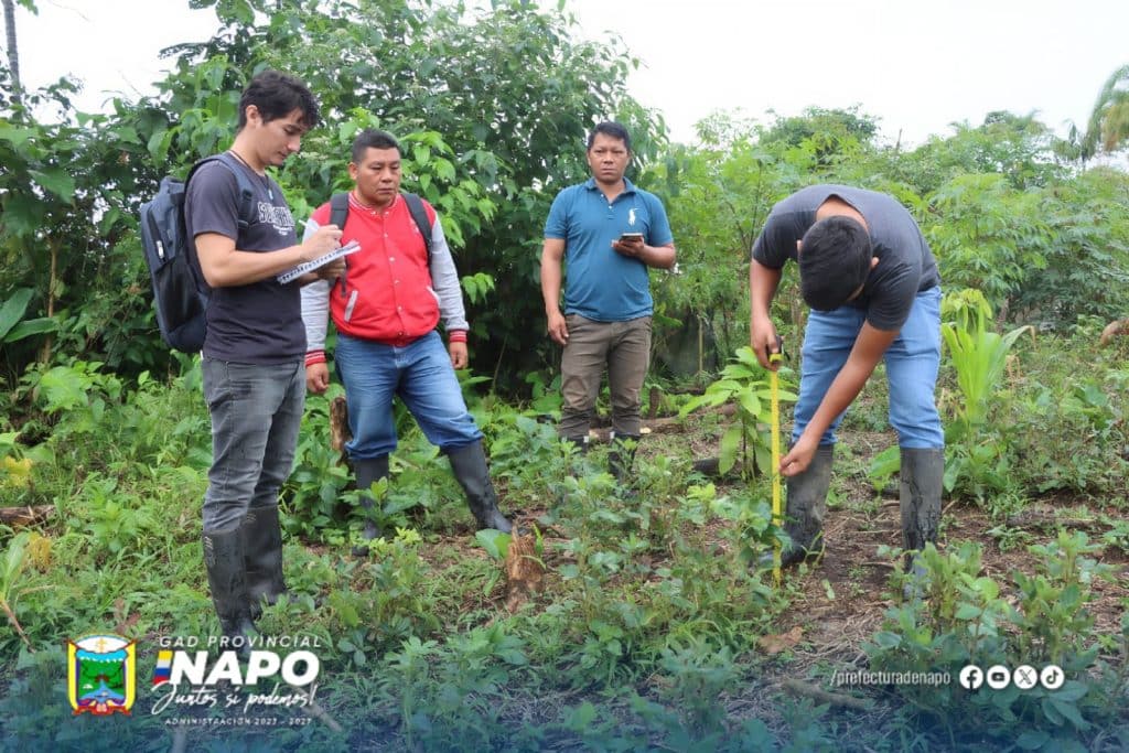 seguimiento técnico a plantas del proyecto de restauración productiva