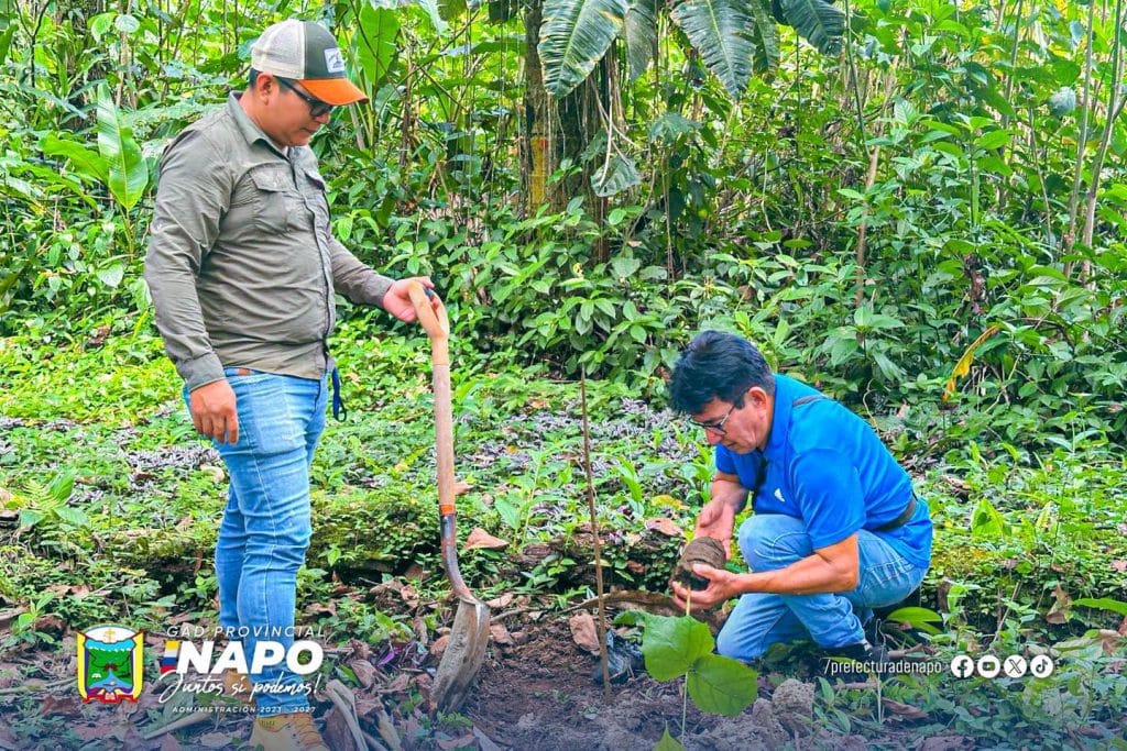un día para el ambiente