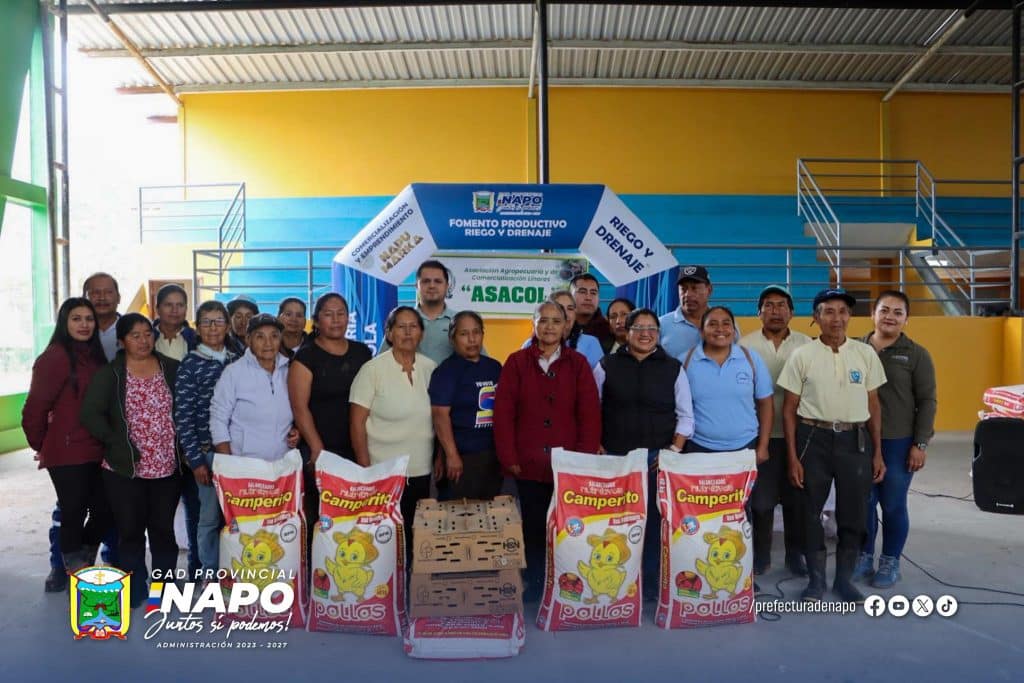 whatsapp image 2025 11 26 at 3.56.49 pm(1)